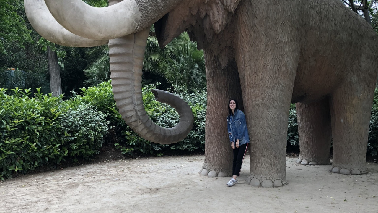 Обои Парк Цитадели, наземные животные, индийский слон, Слон, слоны и мамонты в разрешении 1280x720