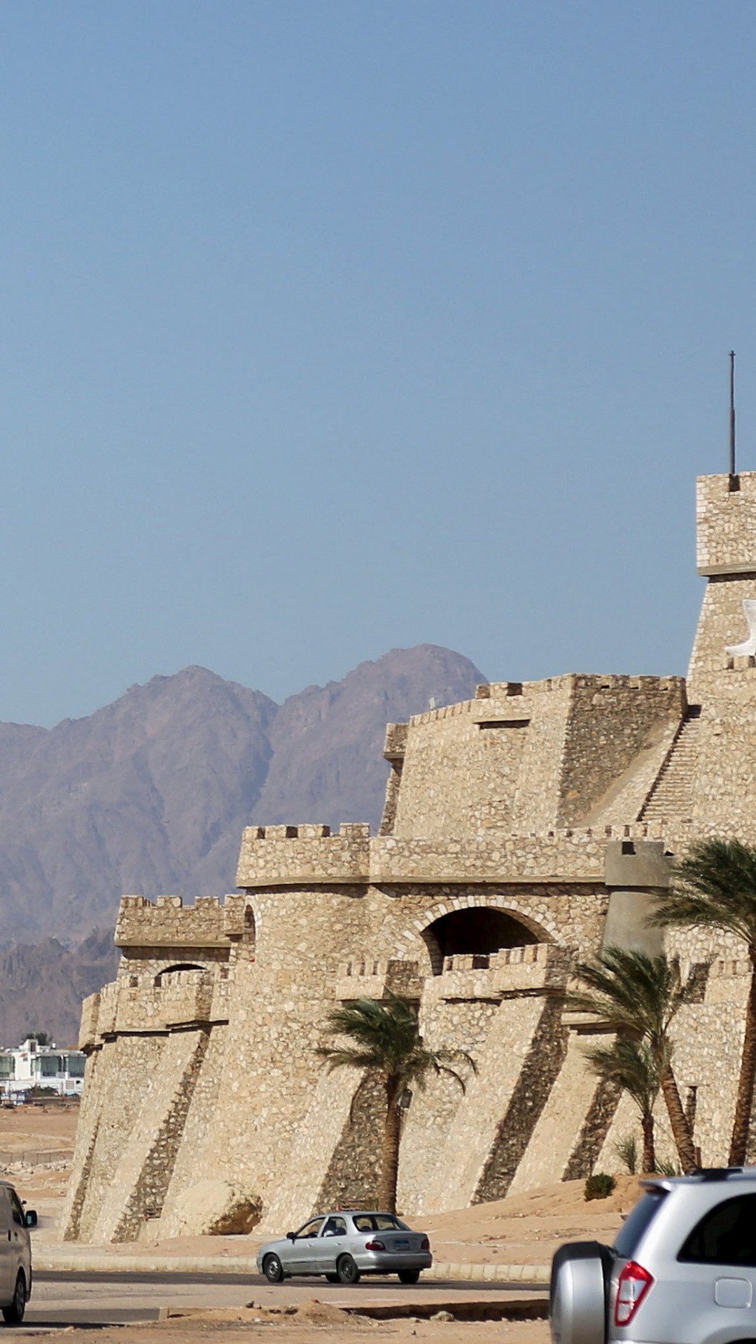 Обои Каир, самолет, путешествие, полет, Авиакомпания Ред Вингс Рейс 9268 в разрешении 1080x1920