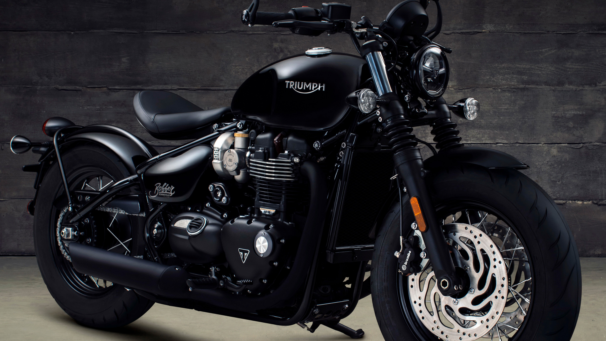 Triumph speedmaster bobber