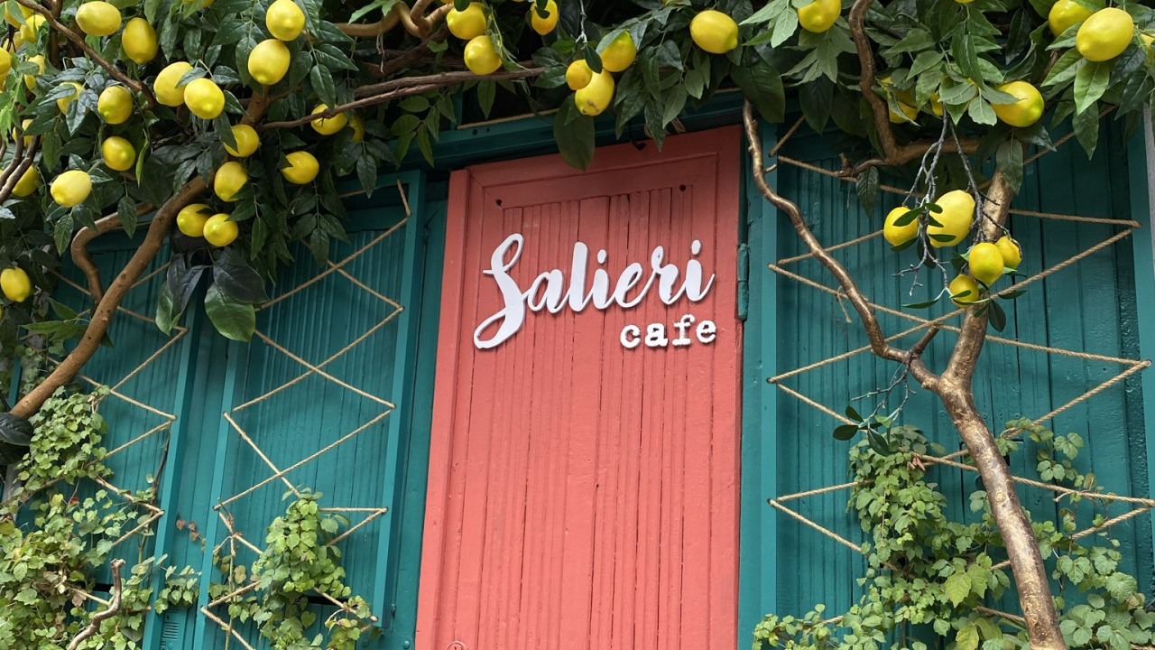 Обои цветок, цветковое растение, мажорель синий, физика, желтый в разрешении 1280x720