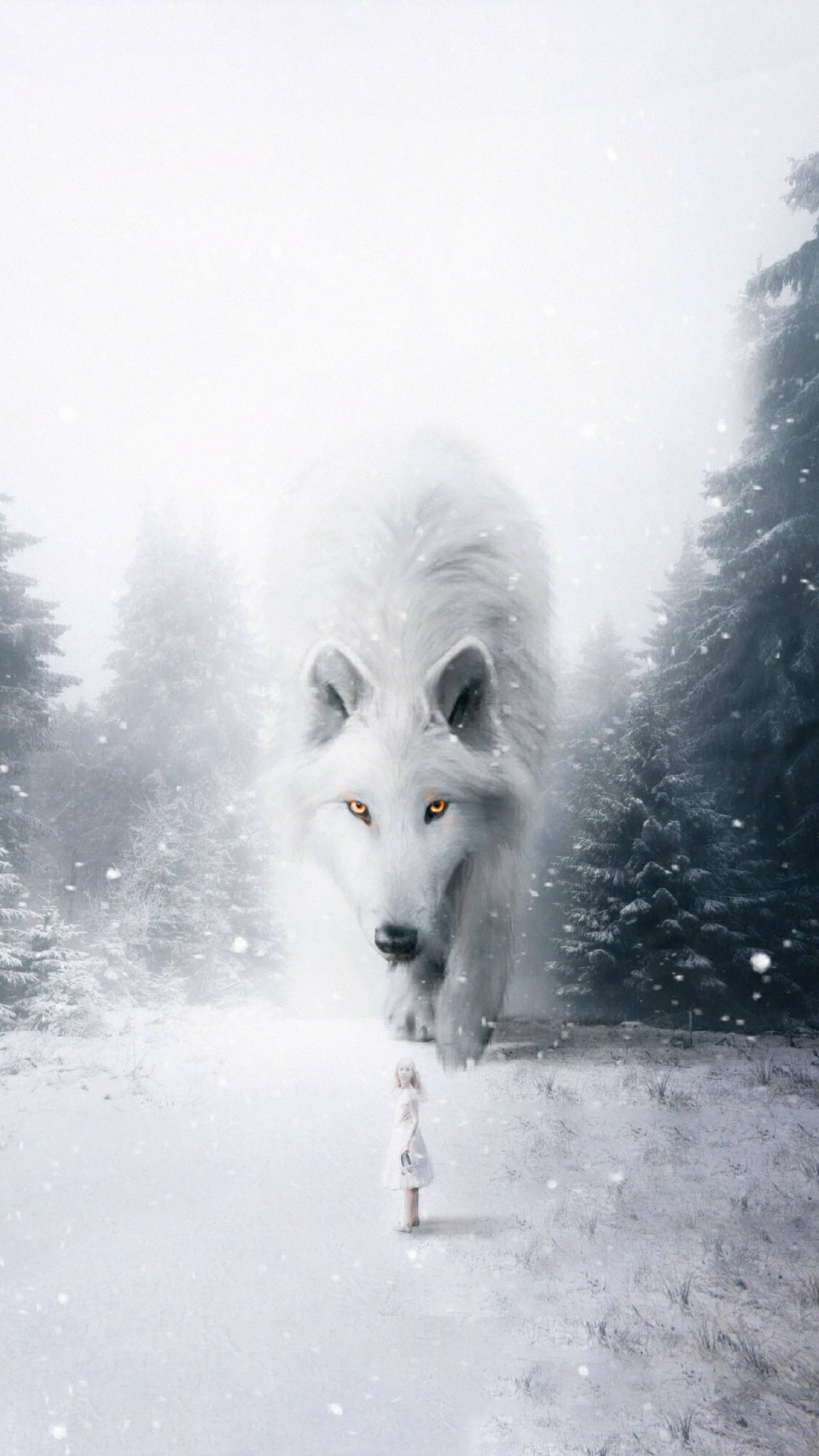 Обои Псовые, Бергер Блан Suisse в, белый пастух, пес, волк в разрешении 1080x1920