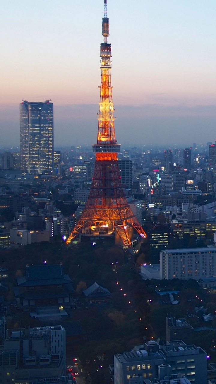 Обои токийская башня, вышка, городской пейзаж, город, городской район в разрешении 720x1280