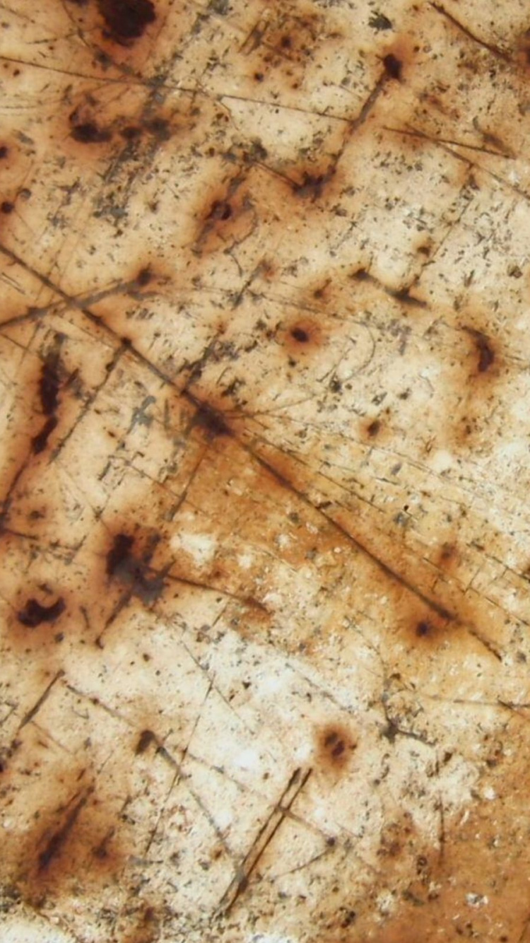 Обои ржавчина, древесина, узор, металл, лихач в разрешении 750x1334