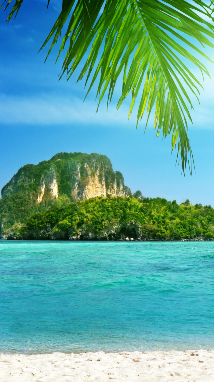 Обои Краби, тропическая зона, море, океан, Карибский бассейн в разрешении 750x1334