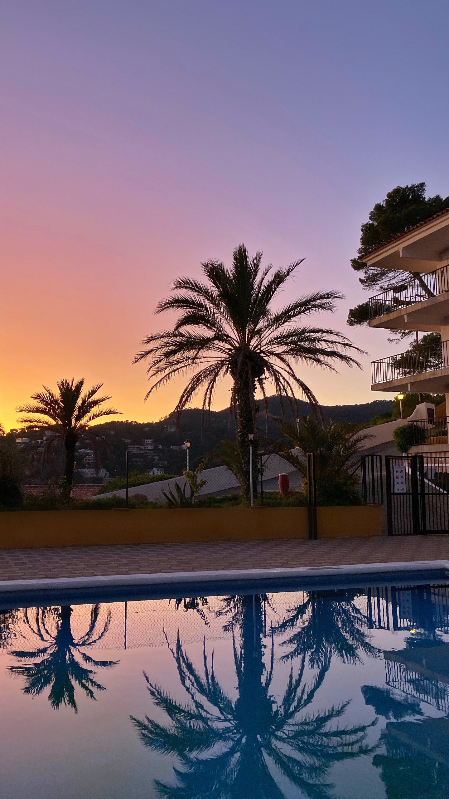 Обои отражение, плавательный бассейн, пальмовые рощи, вода, недвижимость в разрешении 1440x2560