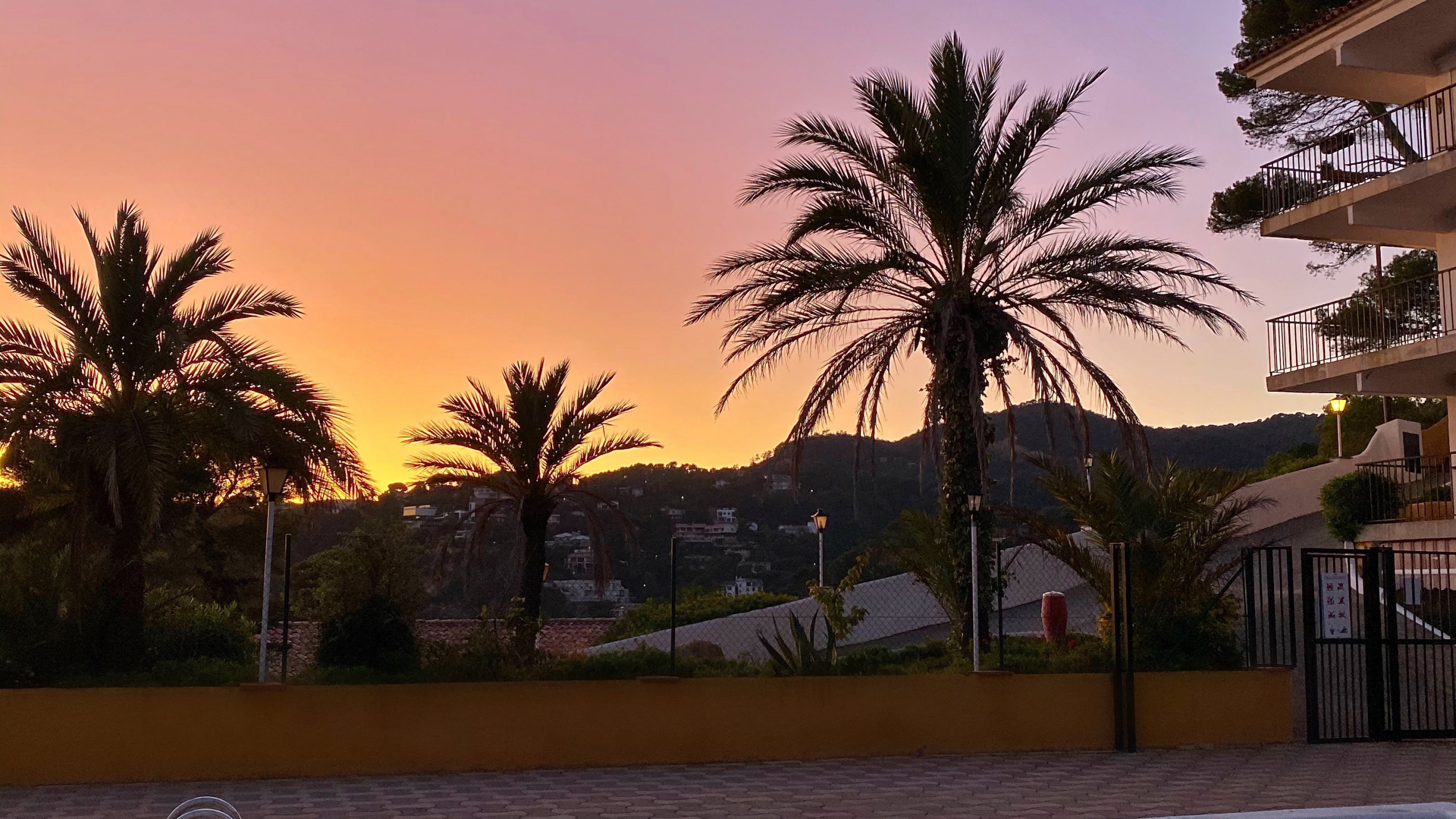 Обои отражение, плавательный бассейн, пальмовые рощи, вода, недвижимость в разрешении 2560x1440