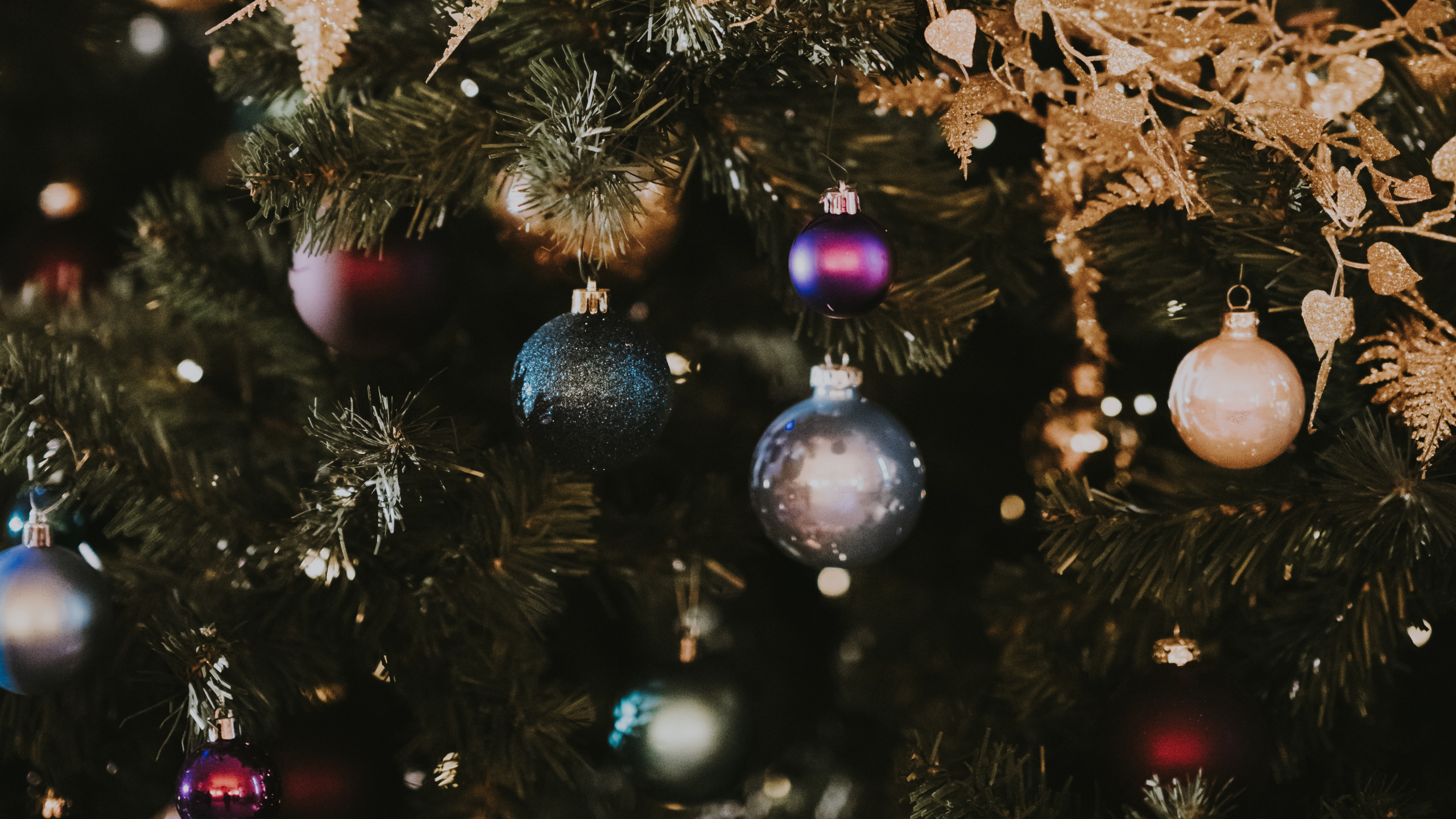 Обои Рождественский день, рождественский орнамент, елка, дерево, Рождество в разрешении 2560x1440