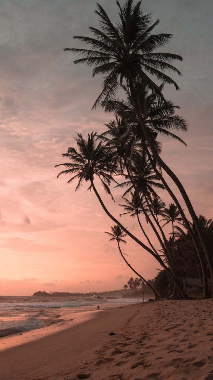 Обои природа, облако, вода, атмосфера, окружающая среда в разрешении 750x1334