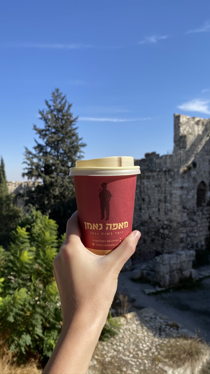 Обои туризм, утро, быстрое питание, хвойное дерево, каменная стена в разрешении 720x1280