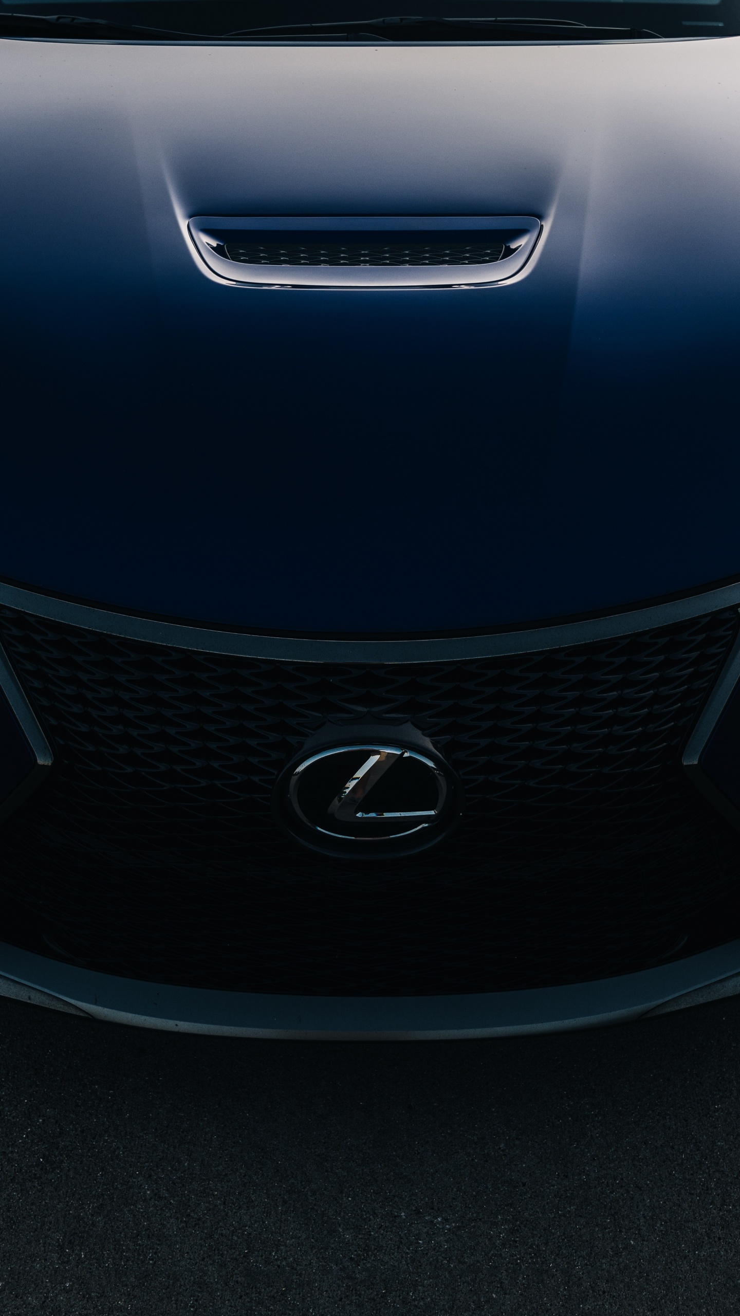 Обои lexus, авто, Лексус РЦ Ф, фара, решетка в разрешении 1440x2560
