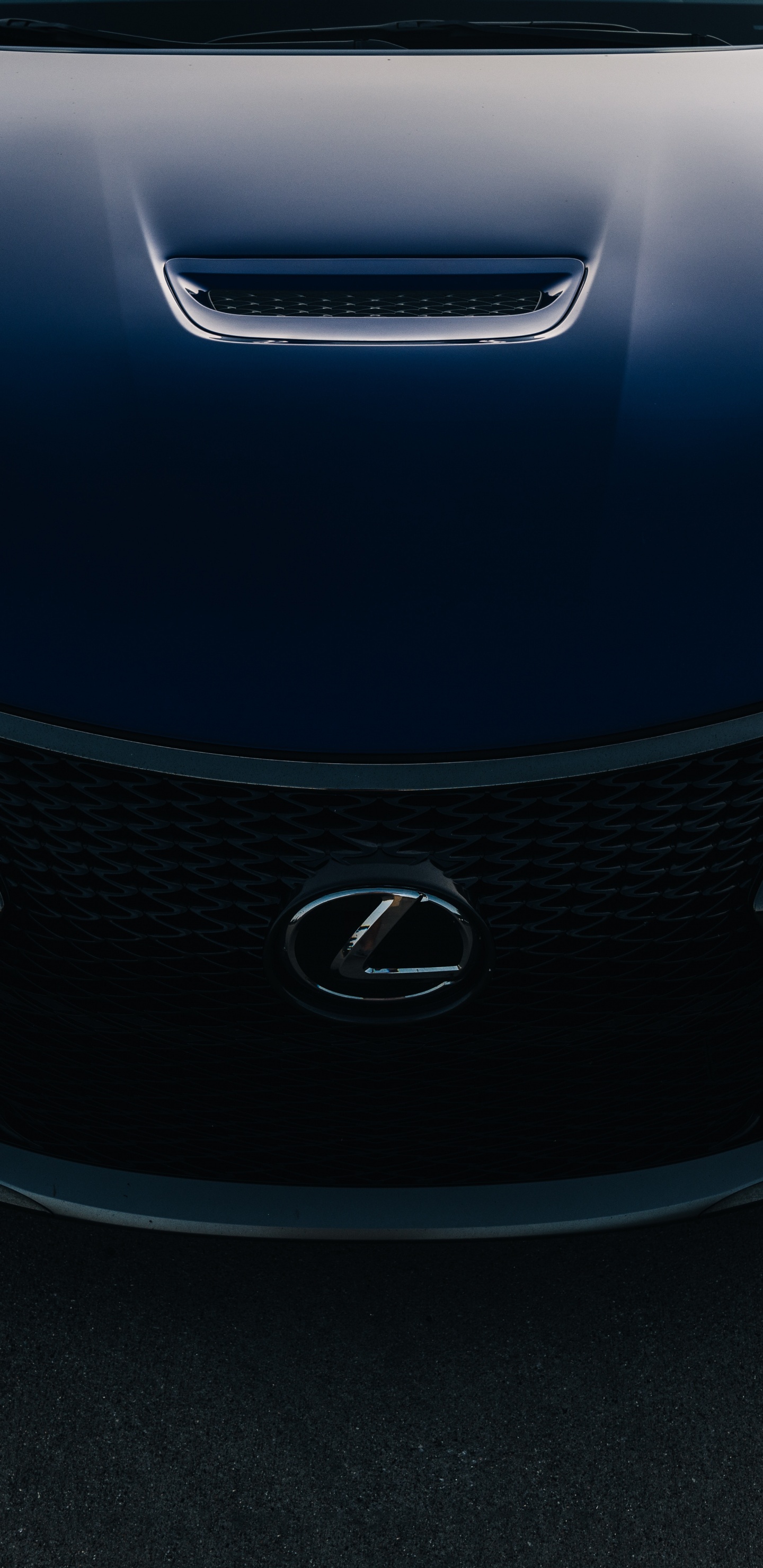 Обои lexus, авто, Лексус РЦ Ф, фара, решетка в разрешении 1440x2960