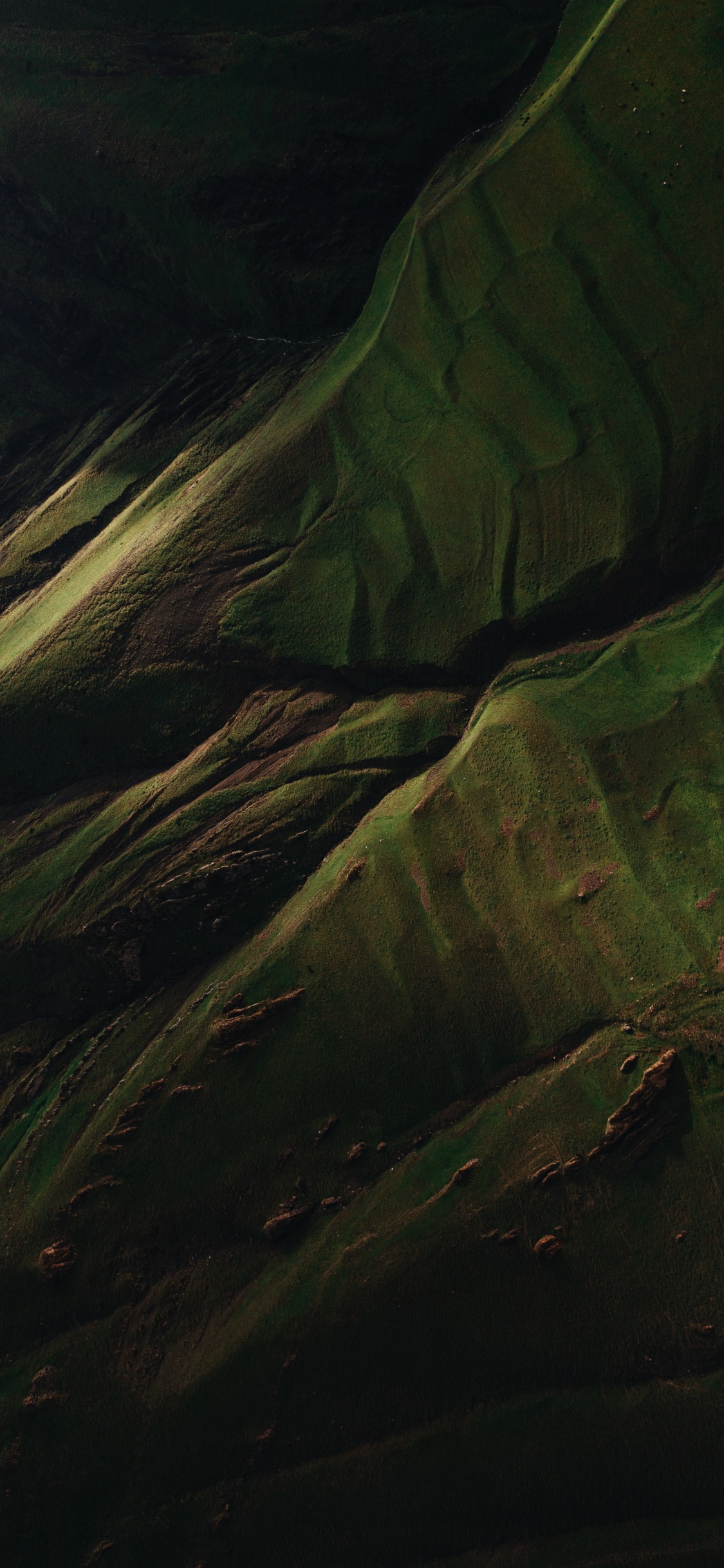 Обои вода, древесина, наземное растение, пейзаж, узор в разрешении 1125x2436