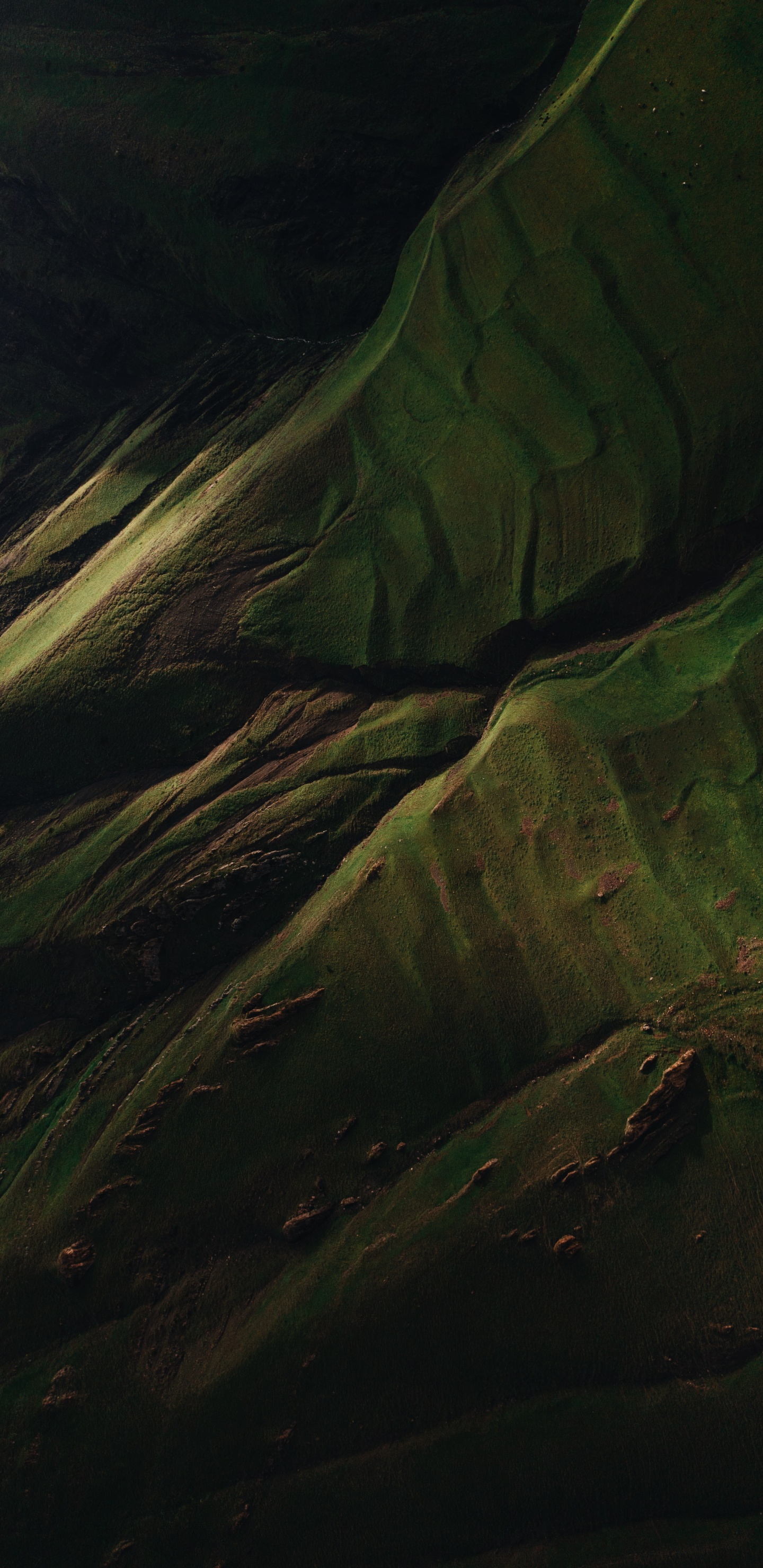 Обои вода, древесина, наземное растение, пейзаж, узор в разрешении 1440x2960