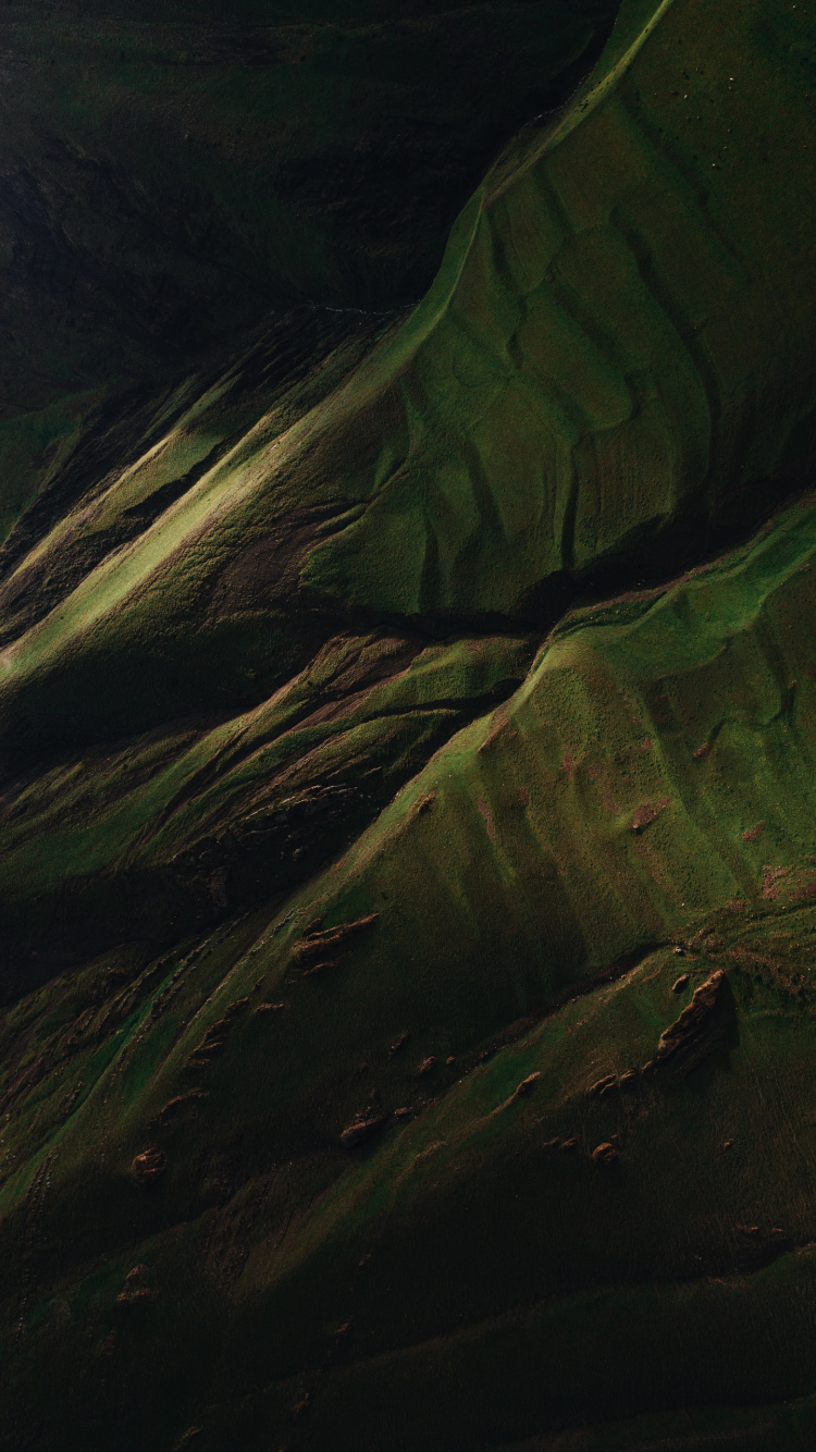 Обои вода, древесина, наземное растение, пейзаж, узор в разрешении 750x1334