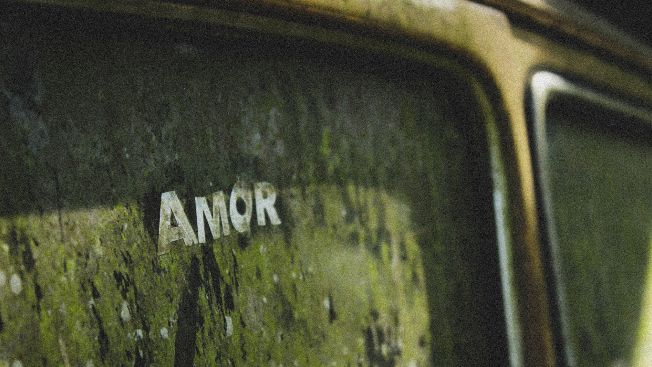 Обои зеленый, автомобильный экстерьер, авто, растение, стекло в разрешении 1280x720