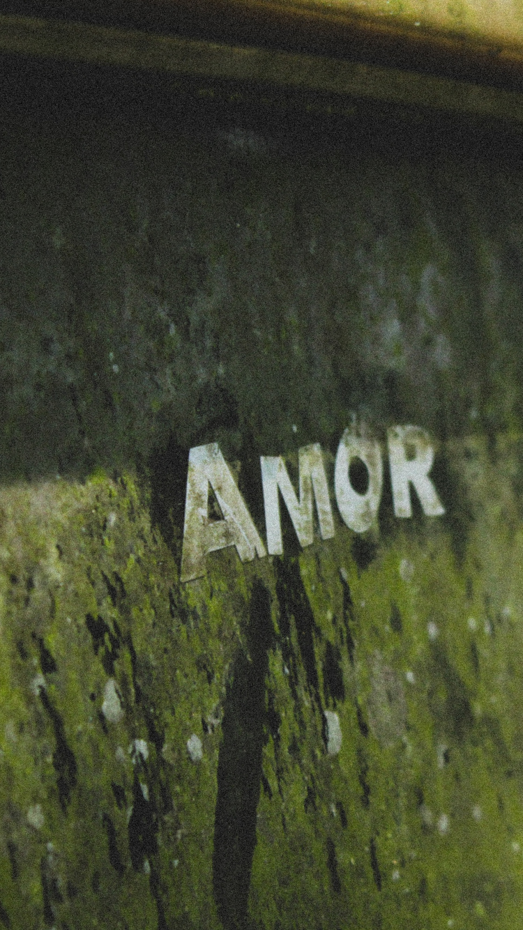 Обои зеленый, автомобильный экстерьер, авто, растение, стекло в разрешении 750x1334