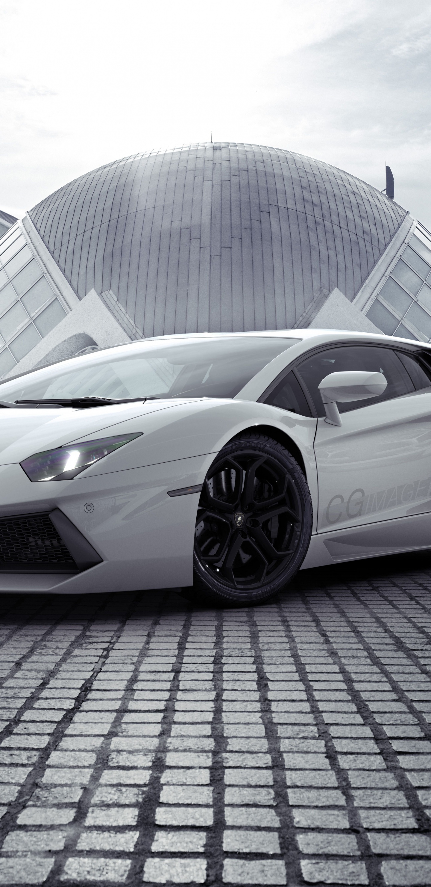 Обои авто, белые, Ламборджини, артист, спорткар в разрешении 1440x2960