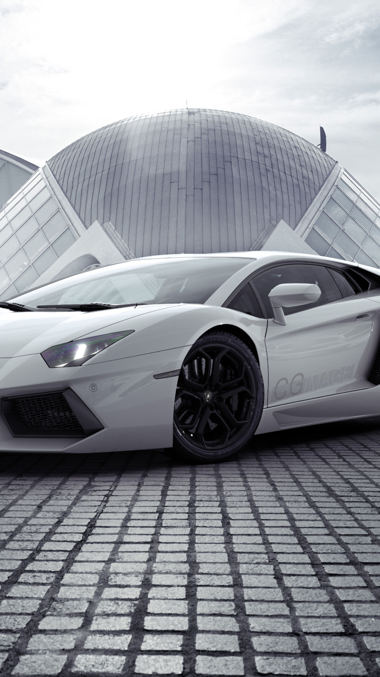 Обои авто, белые, Ламборджини, артист, спорткар в разрешении 750x1334