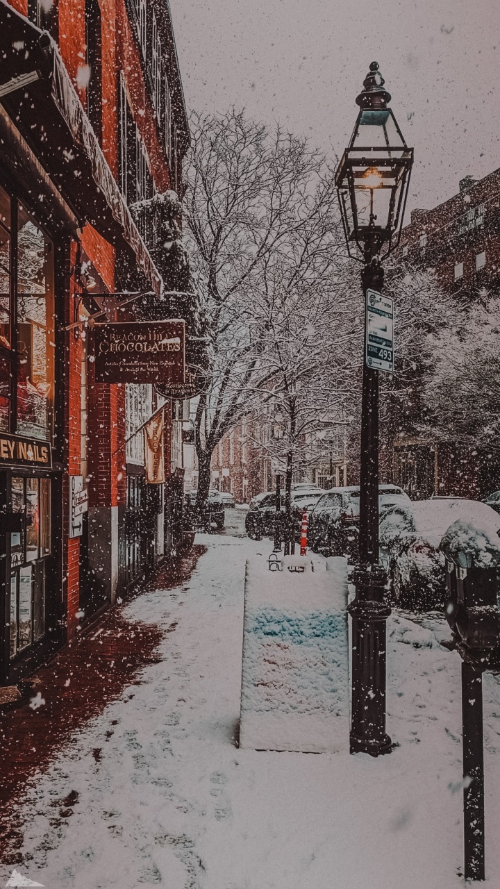 Обои снег, здание, уличный фонарь, ветвь, дерево в разрешении 720x1280