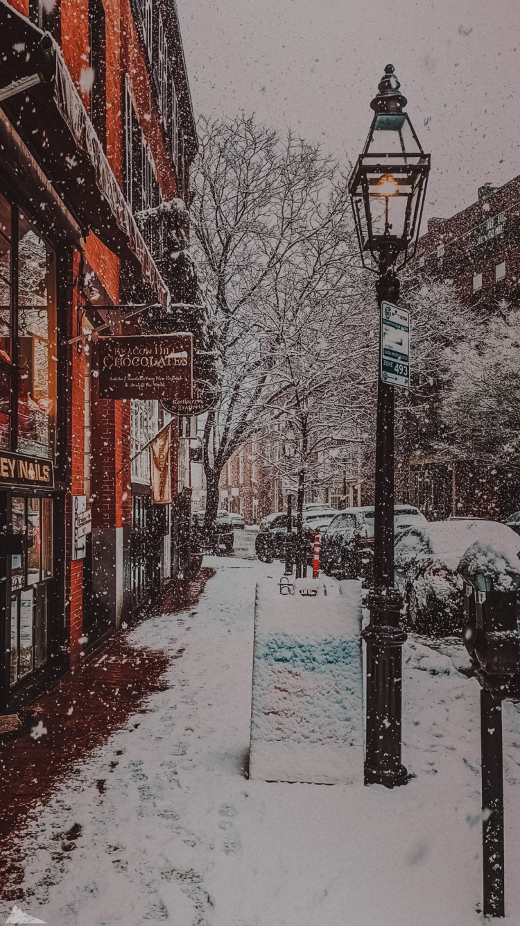 Обои снег, здание, уличный фонарь, ветвь, дерево в разрешении 750x1334