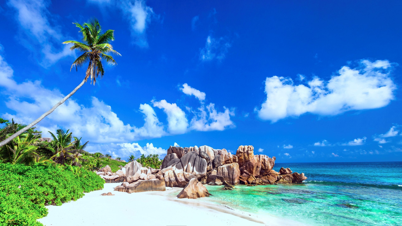 Обои природа, тропическая зона, море, побережье, прибрежные и океанические рельефы в разрешении 1280x720