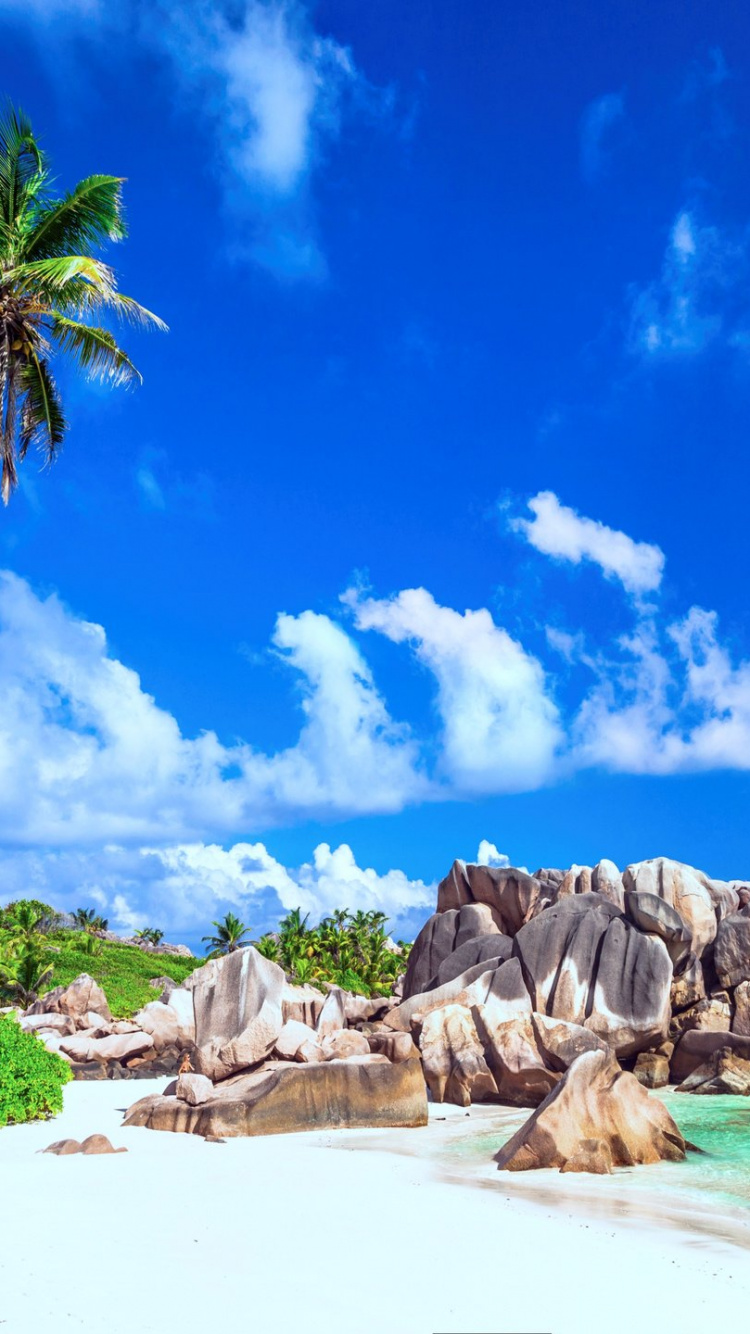 Обои природа, тропическая зона, море, побережье, прибрежные и океанические рельефы в разрешении 750x1334