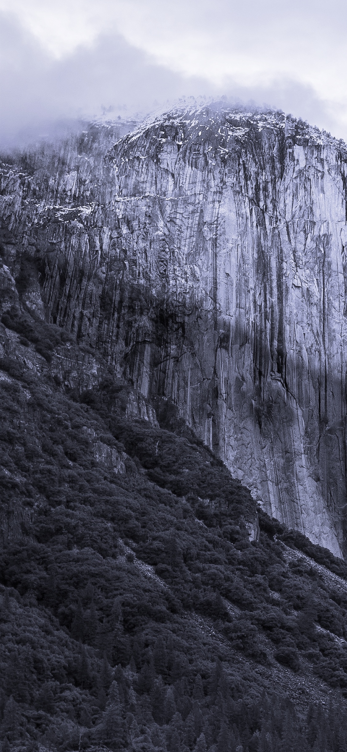 Обои OS X El Capitan, Операционная система, установка, яблоко, Apple МасВоок Pro в разрешении 1125x2436