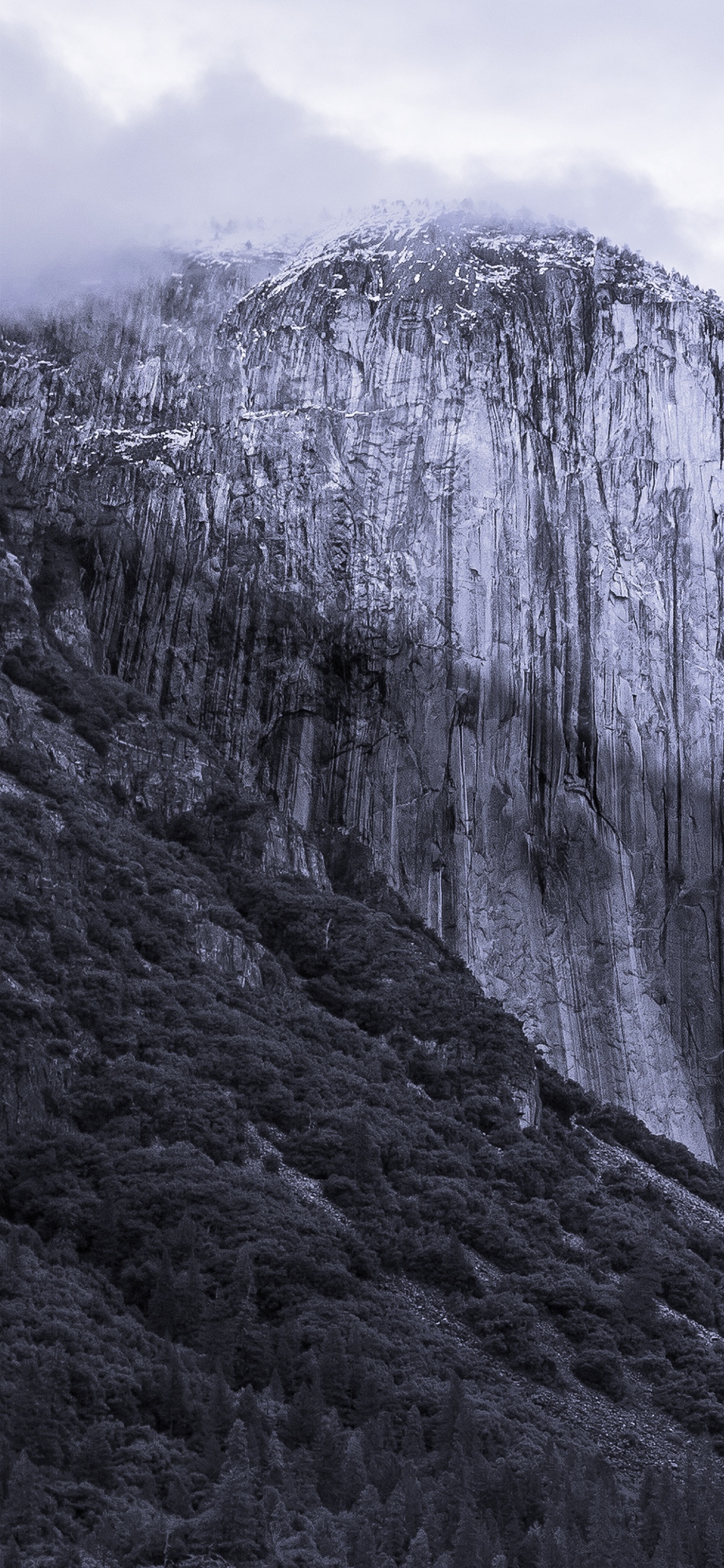 Обои OS X El Capitan, Операционная система, установка, яблоко, Apple МасВоок Pro в разрешении 1242x2688