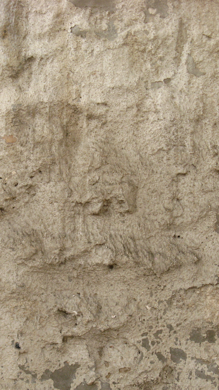 Обои текстура, стена, кирпич, рок, геология в разрешении 750x1334