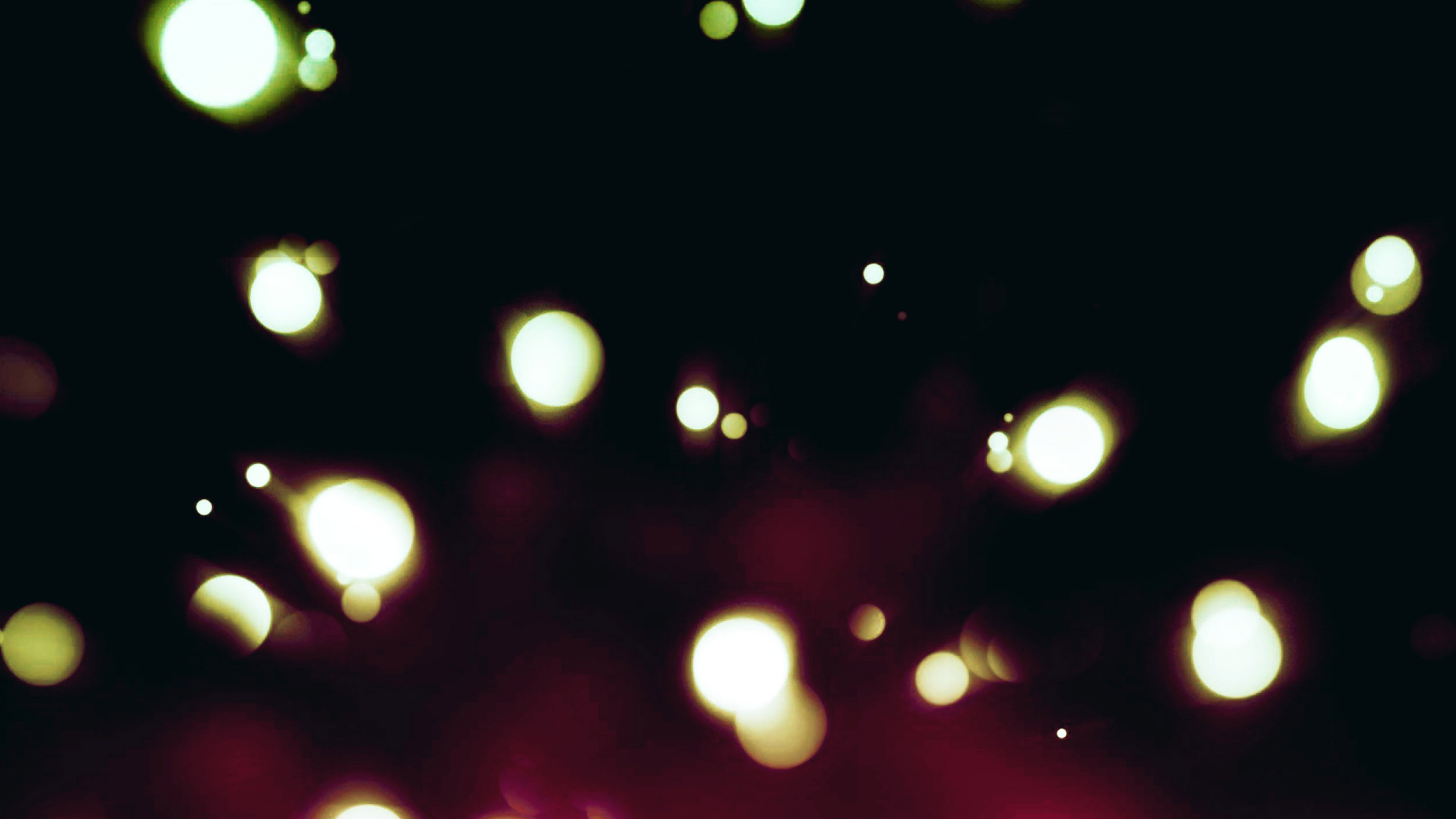 Обои свет, apple, освещение, ночь, яблоко в разрешении 2560x1440