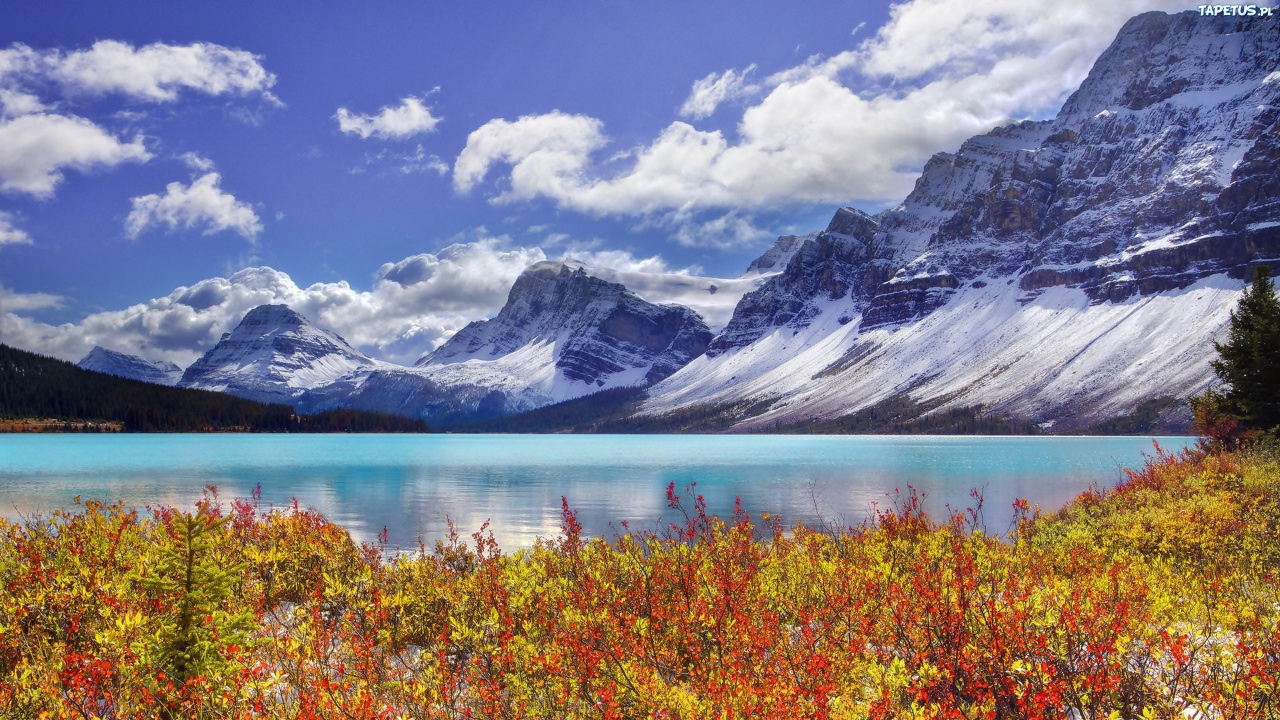 Обои банфф, лук озеро, национальный парк, природа, гора в разрешении 1280x720