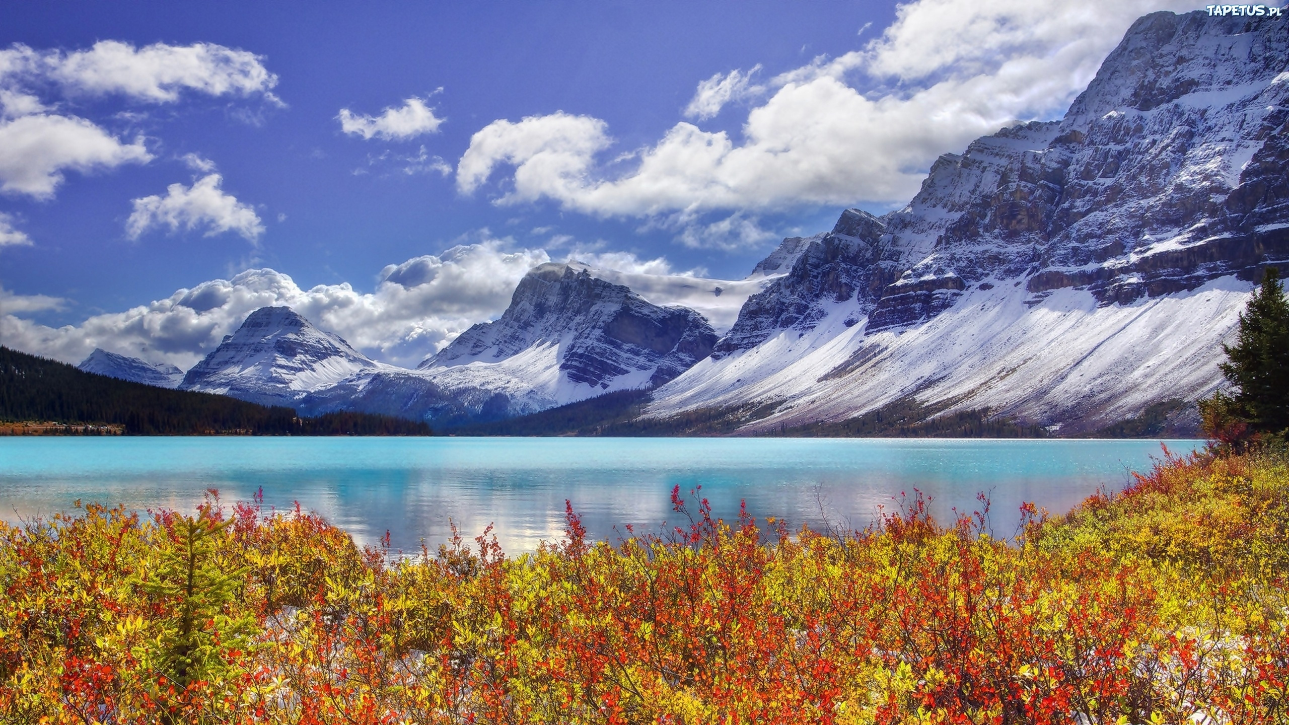 Обои банфф, лук озеро, национальный парк, природа, гора в разрешении 2560x1440