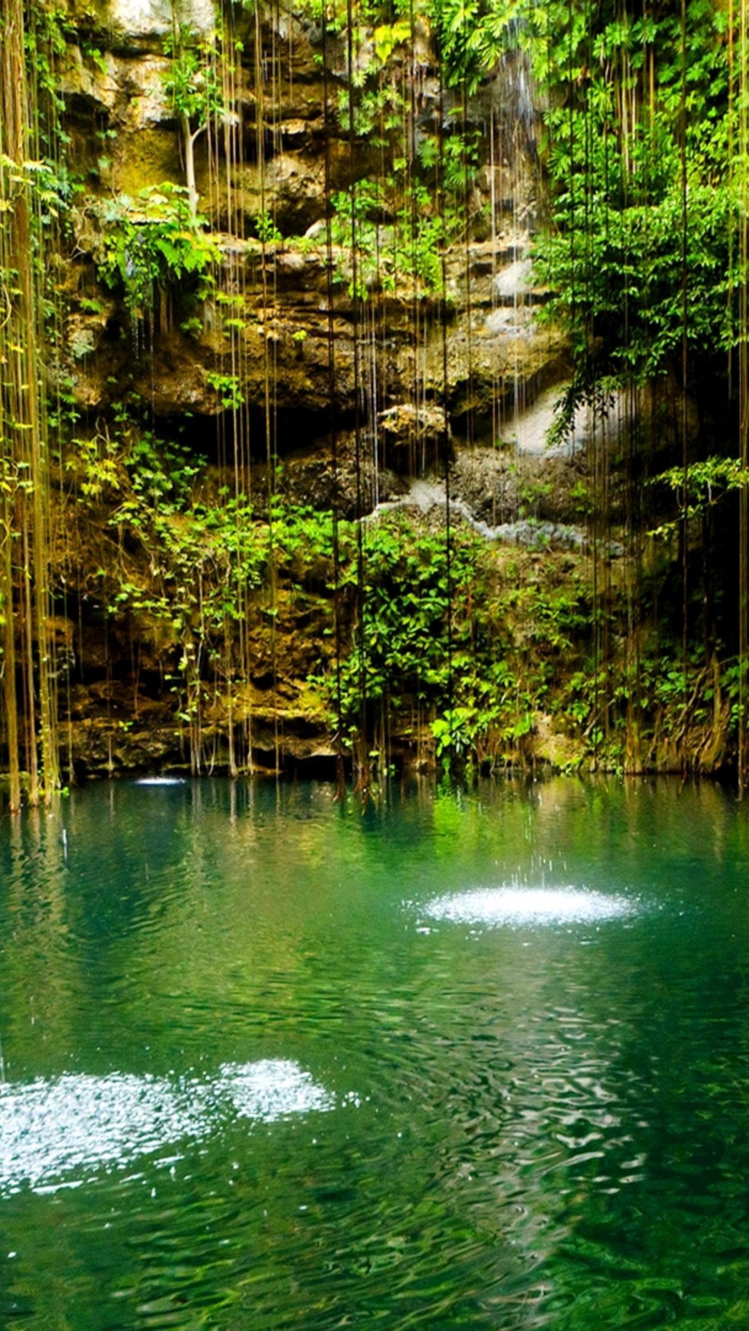 Обои природа, водоем, зеленый, природный заповедник, вода в разрешении 1080x1920