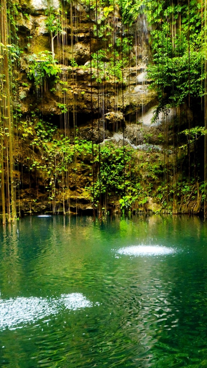 Обои природа, водоем, зеленый, природный заповедник, вода в разрешении 720x1280