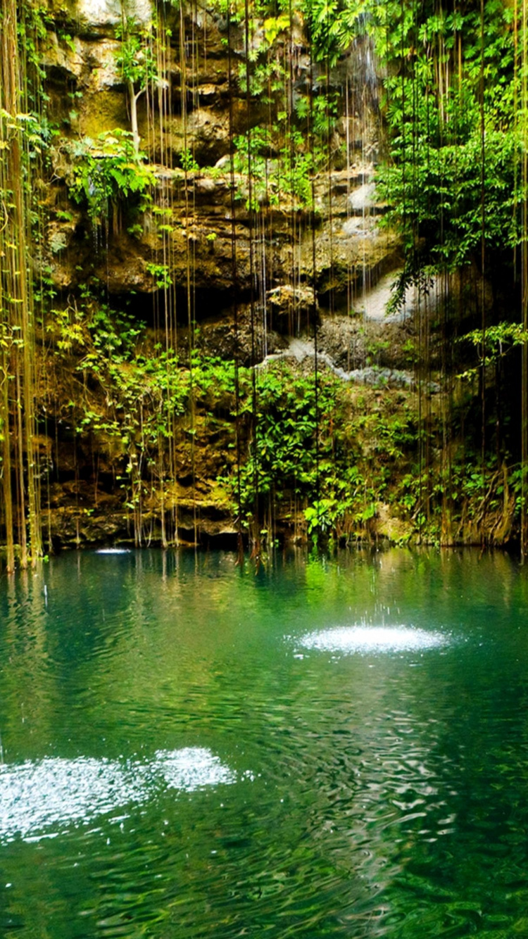 Обои природа, водоем, зеленый, природный заповедник, вода в разрешении 750x1334