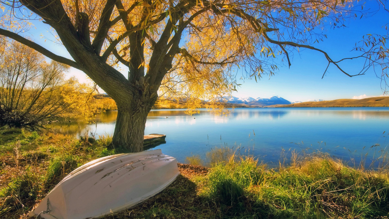 Обои пейзаж, театральные декорации, вода, растение, облако в разрешении 1280x720