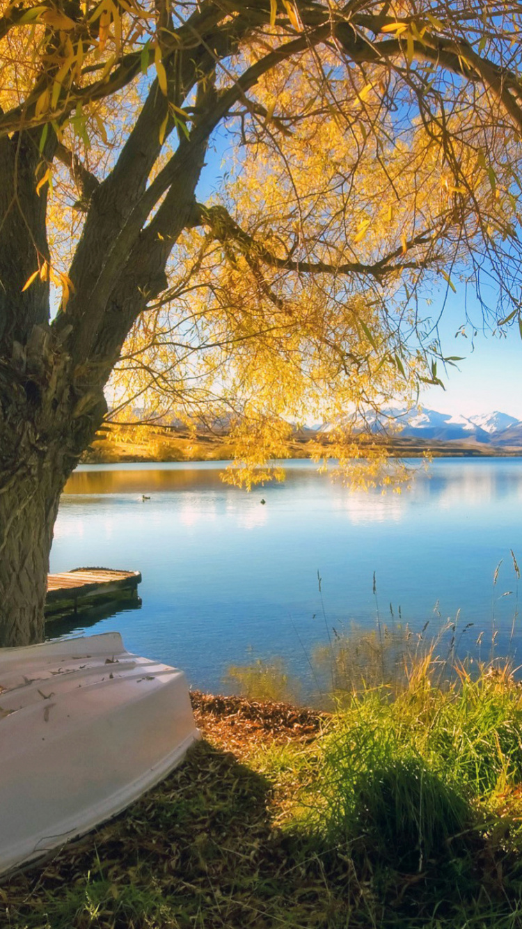 Обои пейзаж, театральные декорации, вода, растение, облако в разрешении 750x1334