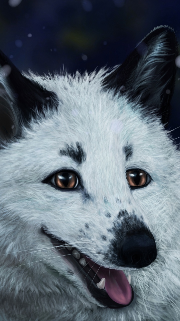 Обои Псовые, пес, собака породы, гренландская собака, родной американских индейцев собака в разрешении 720x1280