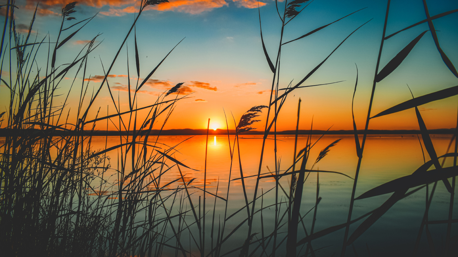 Обои закат, цвет, послесвечение, природа, горизонт в разрешении 1920x1080