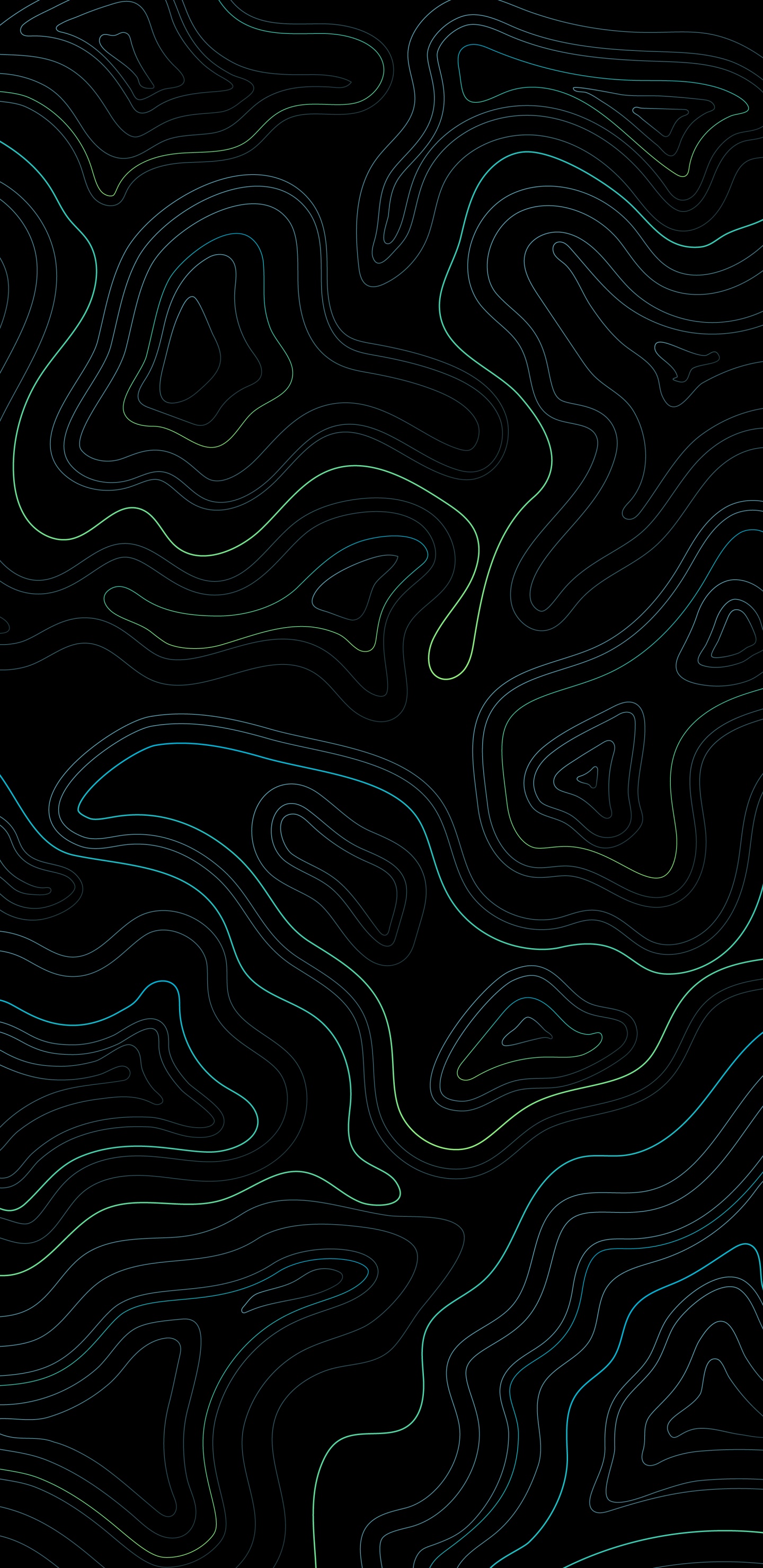 Обои узор, черный и белый, дизайн, серый цвет, арт в разрешении 1440x2960