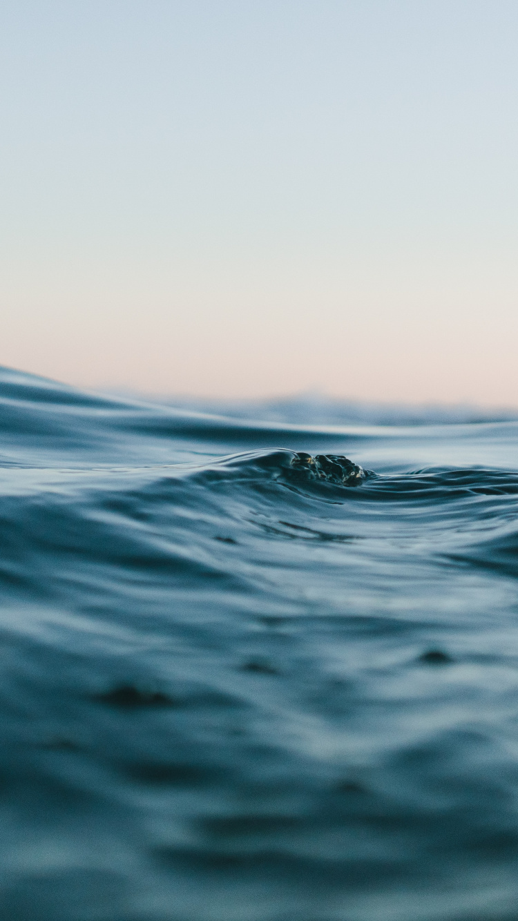 Обои пляж крупным планом, пляж, берег, водоем, море в разрешении 750x1334