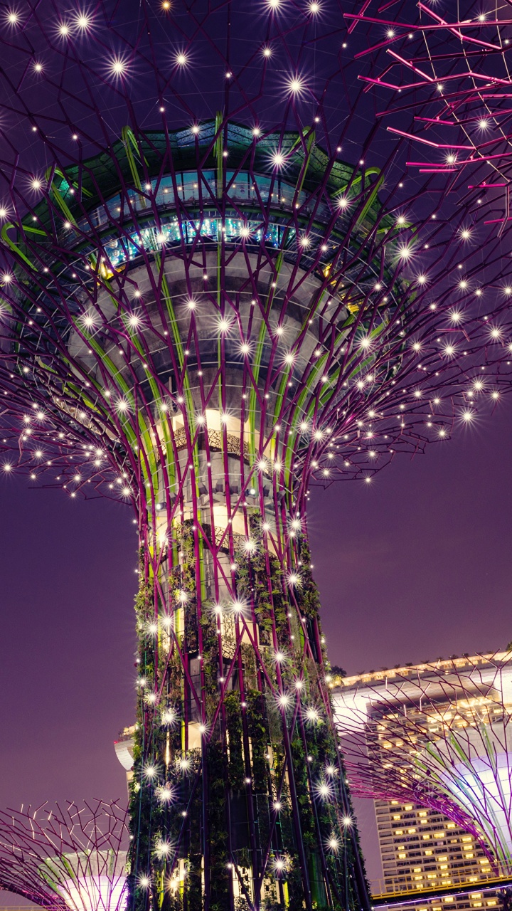 Обои Сады у залива, парк, достопримечательность, пурпур, освещение в разрешении 720x1280