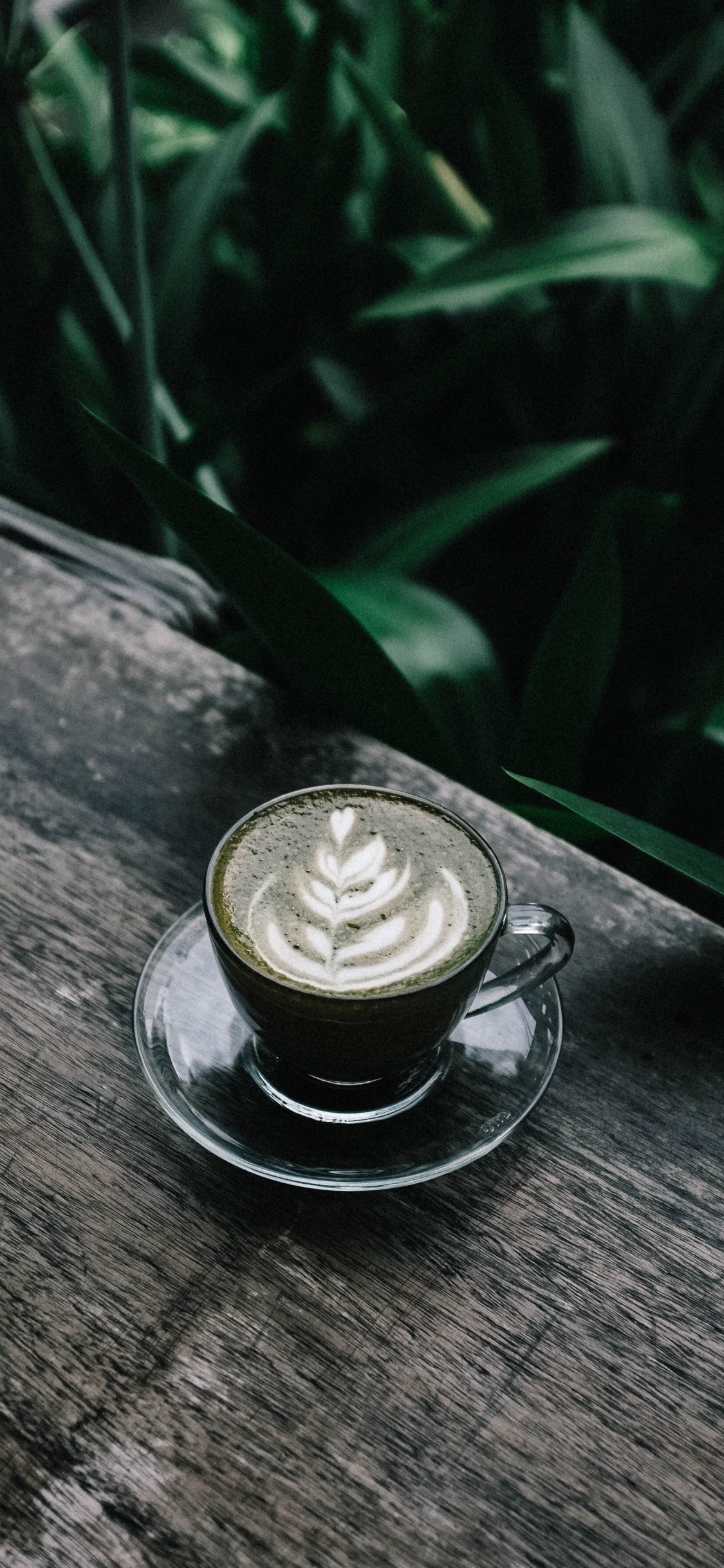 Обои кофе, кофеин, латте, напиток, плоские белые в разрешении 1125x2436