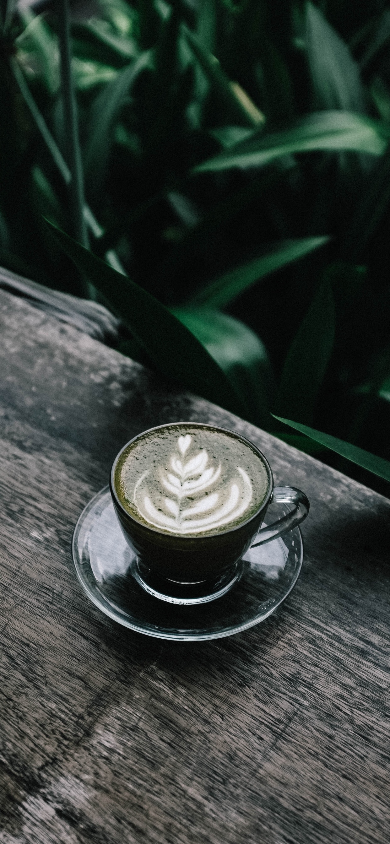 Обои кофе, кофеин, латте, напиток, плоские белые в разрешении 1242x2688