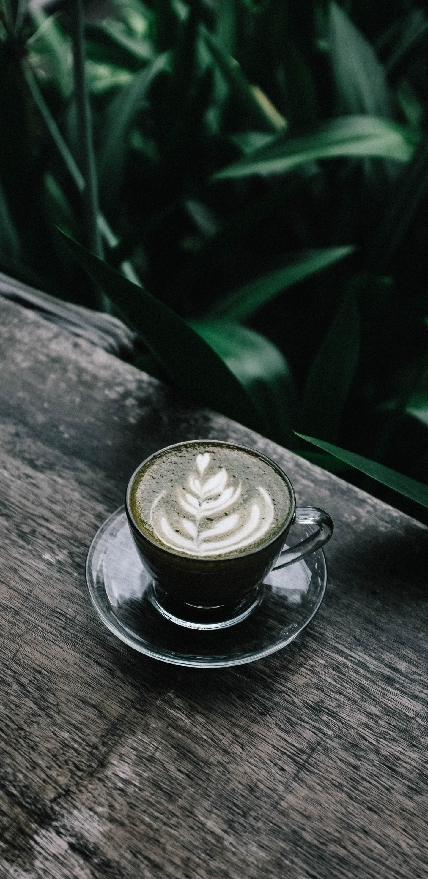 Обои кофе, кофеин, латте, напиток, плоские белые в разрешении 1440x2960