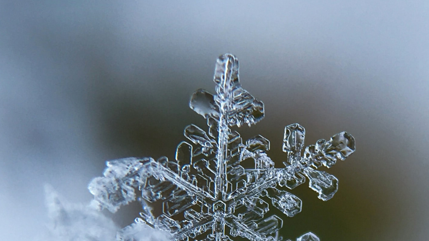 Обои Новый год, Рождество, замораживание, зима, прут в разрешении 1366x768