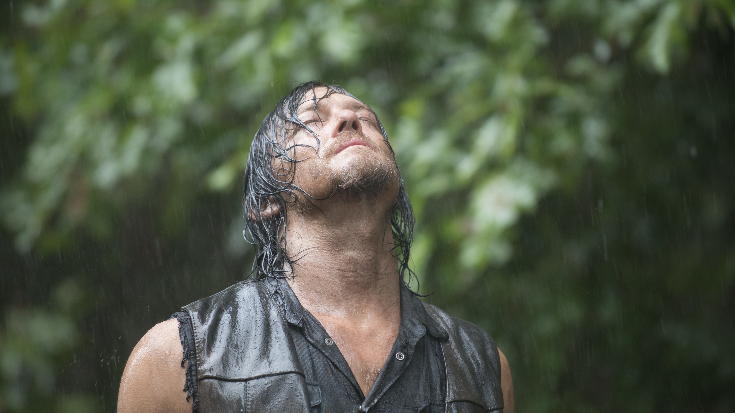 Обои Дэрил Диксон, Кэрол Peletier, волосы, человек, дерево в разрешении 2560x1440