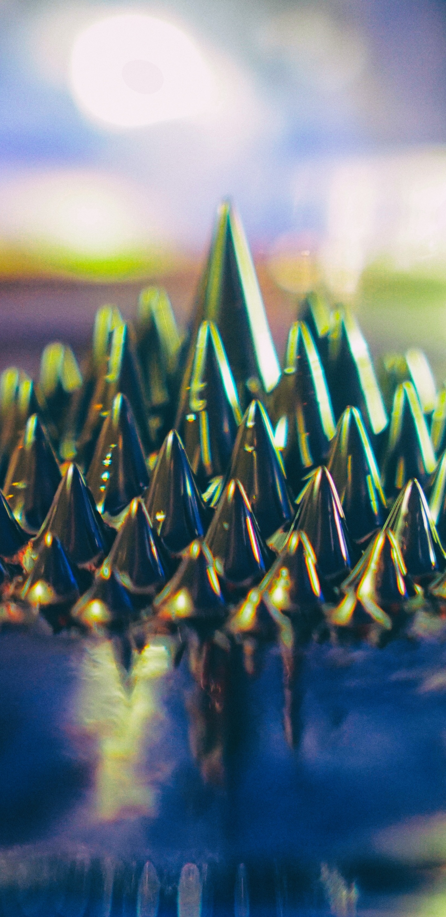 Обои наука, зеленый, вода, синий, растительность в разрешении 1440x2960