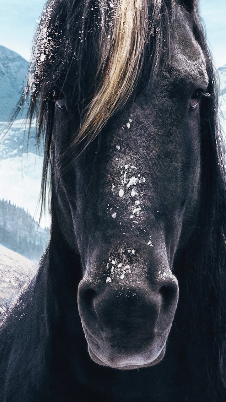 Обои Джуманджи лошадь следующего уровня, конь, гора, снег, природа в разрешении 720x1280