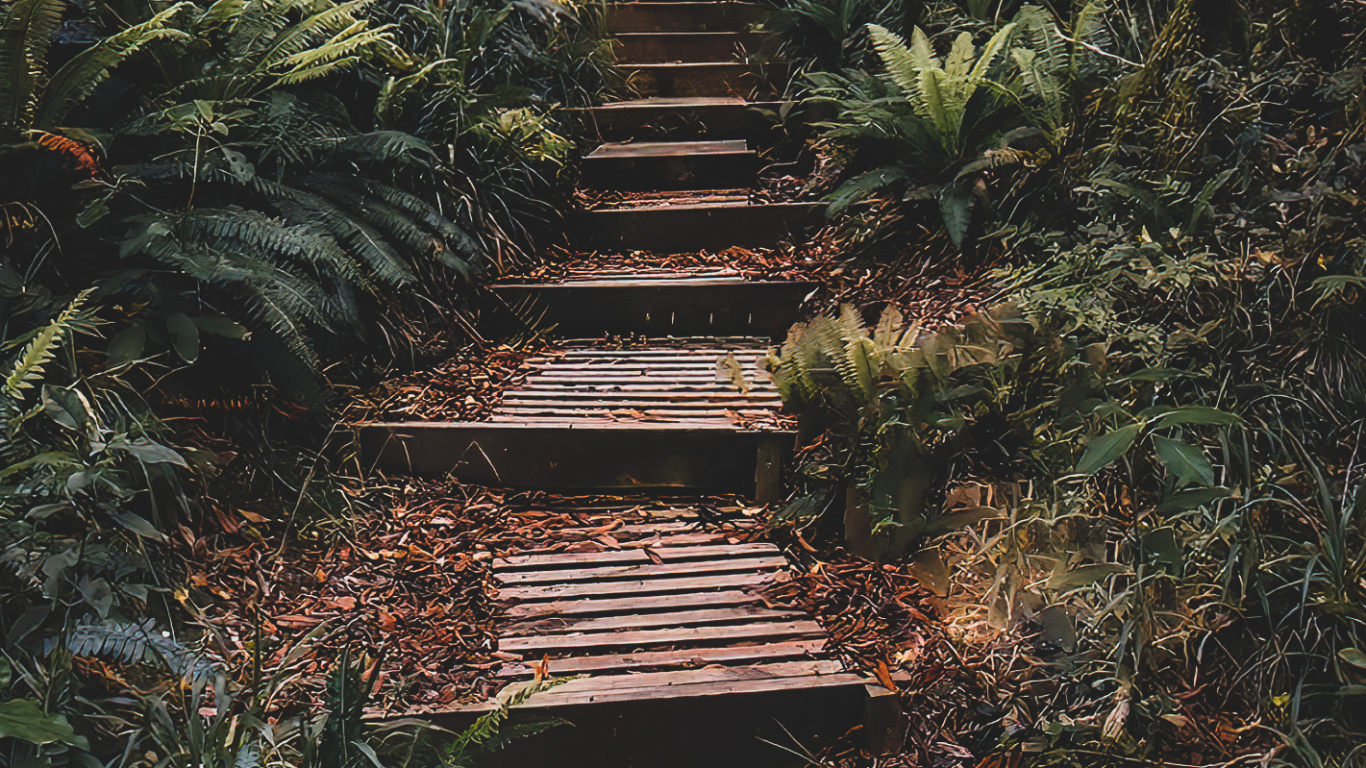 Обои природа, растение, растительное сообщество, древесина, природный ландшафт в разрешении 1366x768